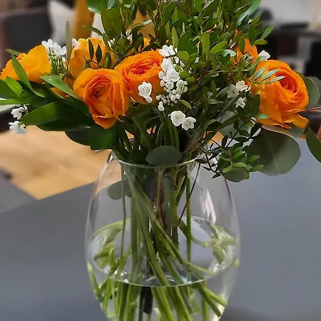 Villa Le Loft By Festif Azur 4-star 200m2 House With Garden, 5-min Walk To Palais Des Festivals And Beaches *