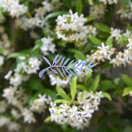 Le Loft By Festif Azur 4-star 200m2 House With Garden, 5-min Walk To Palais Des Festivals And Beaches *